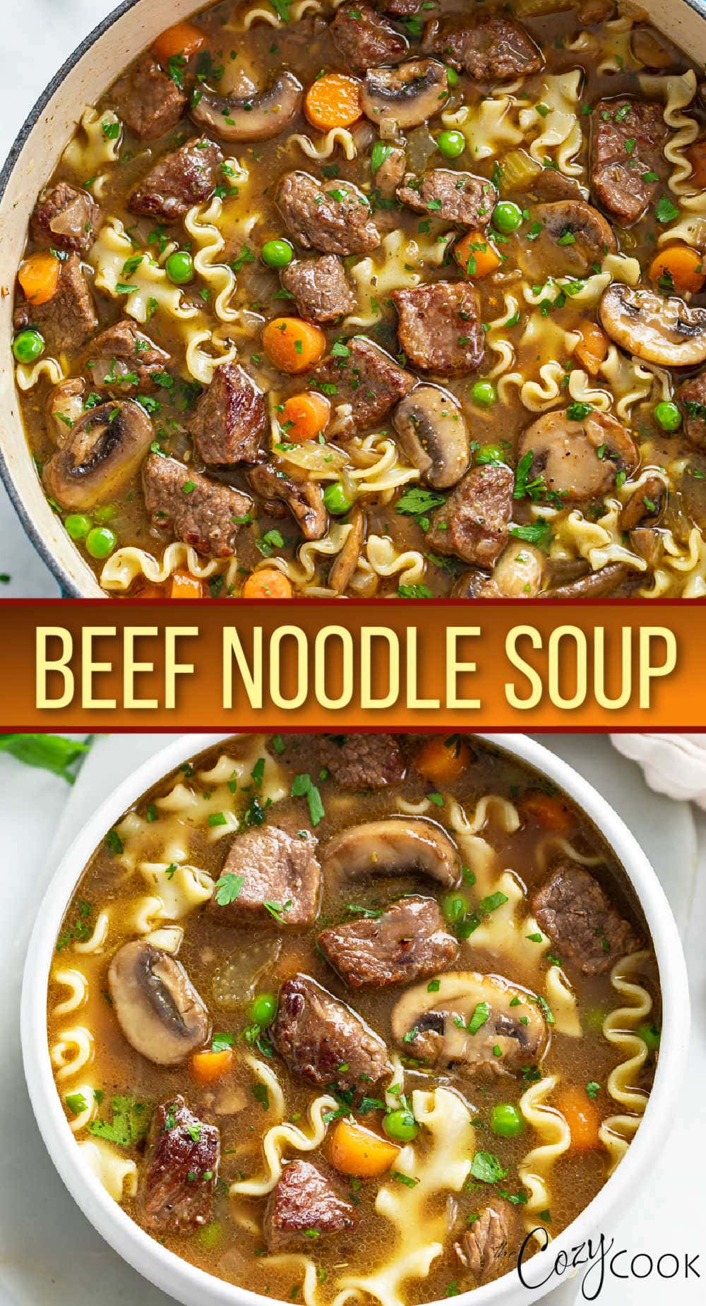 Beef Noodle Soup The Cozy Cook