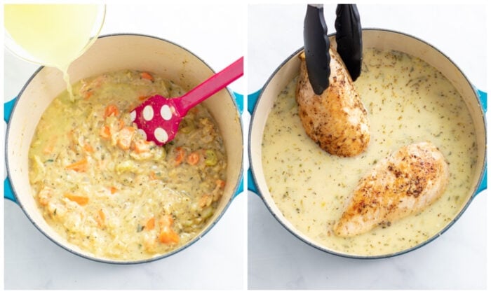 Chicken Stew - The Cozy Cook