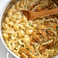 Creamy Chicken Pasta with cream sauce and shell pasta with chicken strips.