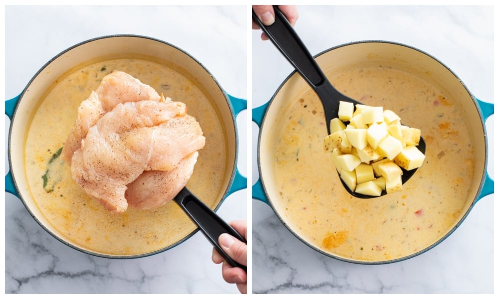 Adding chicken and potatoes to a soup pot with broth.
