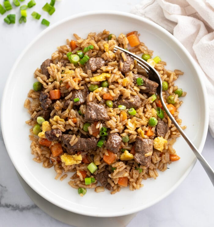 Beef Fried Rice - The Cozy Cook