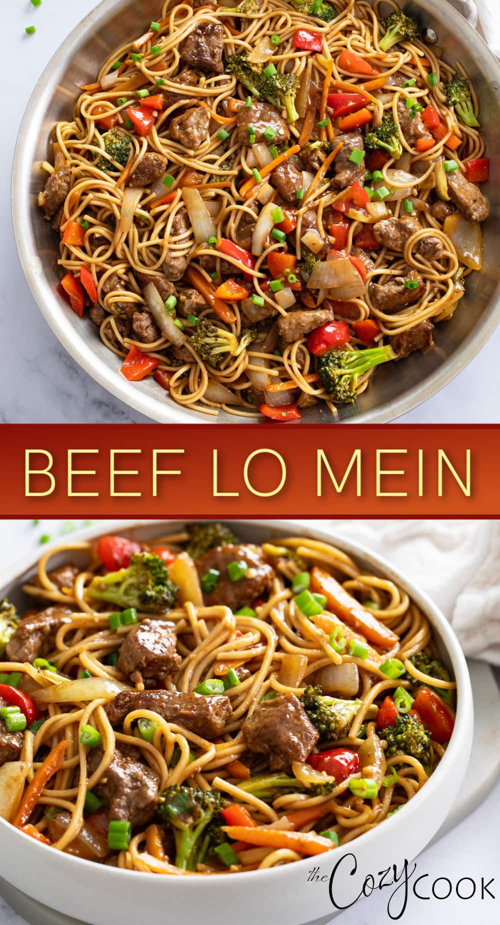 Beef Lo Mein - The Cozy Cook