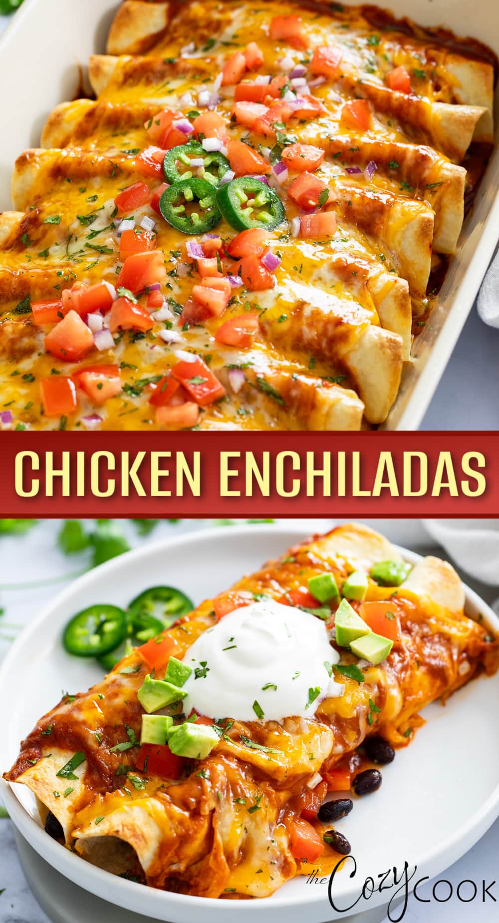 Chicken Enchiladas - The Cozy Cook