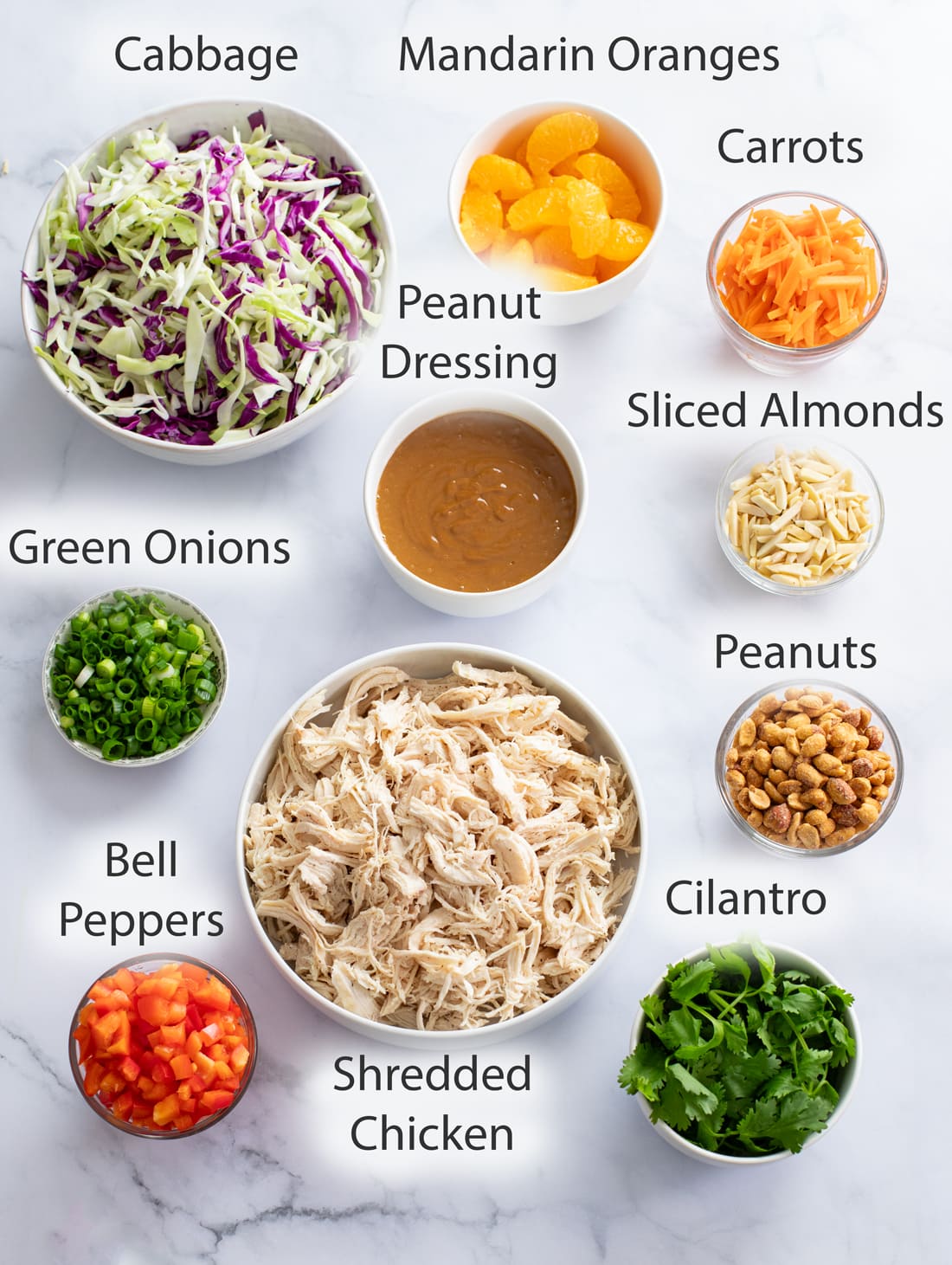 Ingredients for making Thai Chicken Salad on a white surface with labels.