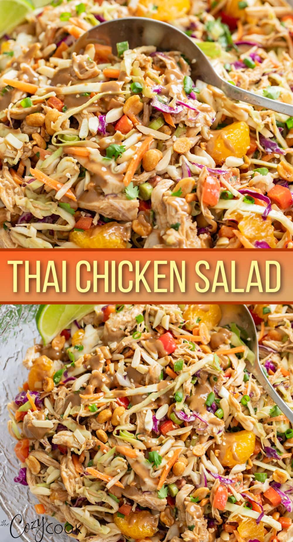 Thai Chicken Salad - The Cozy Cook