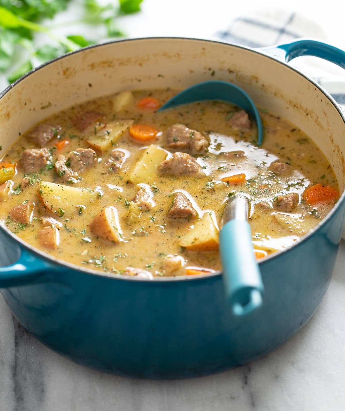 Pork Stew in a Dutch oven with a ladle on the side.