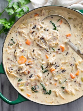 Chicken and Wild Rice Soup in a soup pot with a ladle. scooping it up.