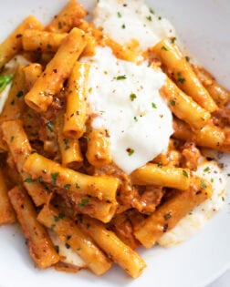 Close up view of Burrata pasta with seasoned tomato sauce and creamy burrata cheese on top.