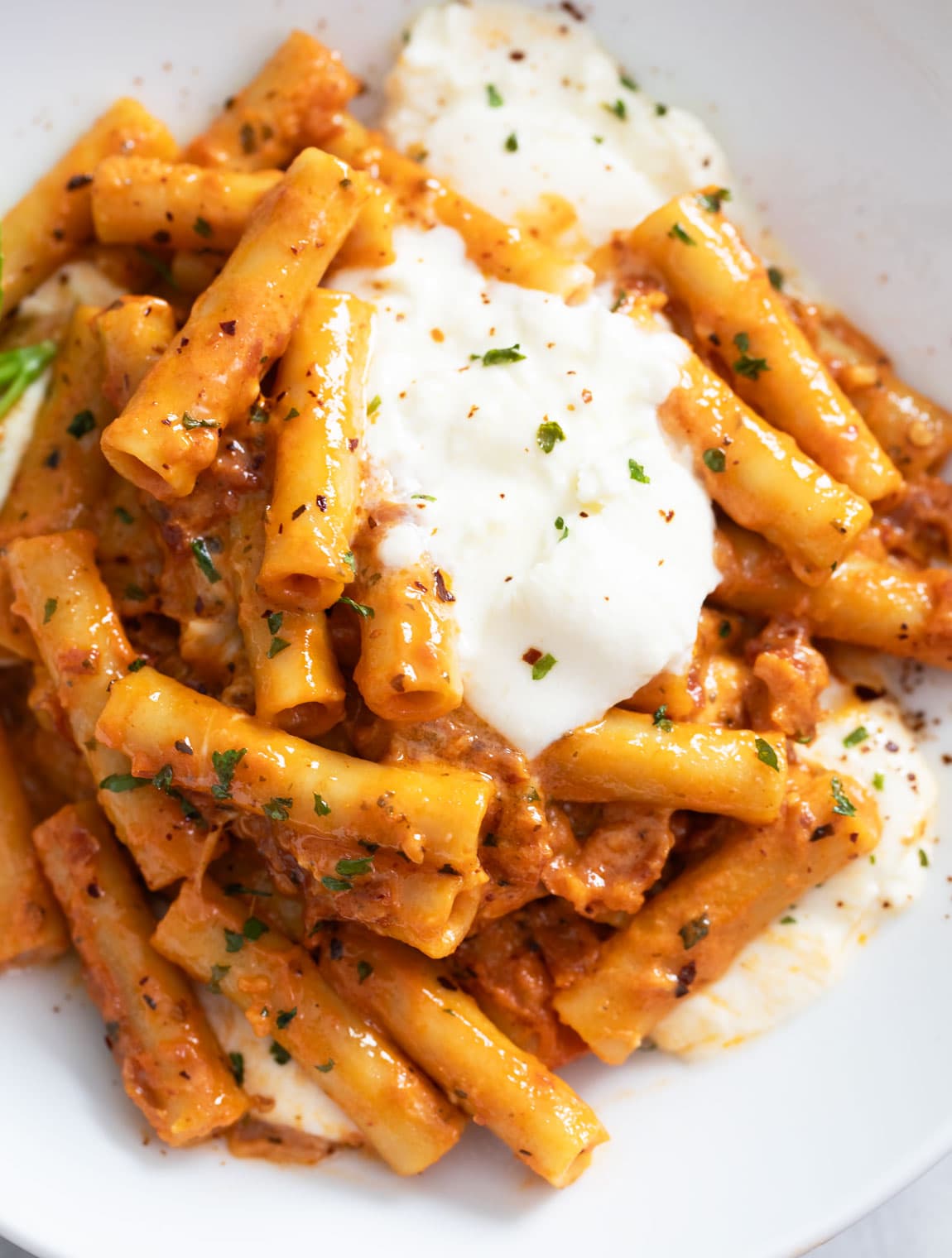 Close up view of Burrata pasta with seasoned tomato sauce and creamy burrata cheese on top.