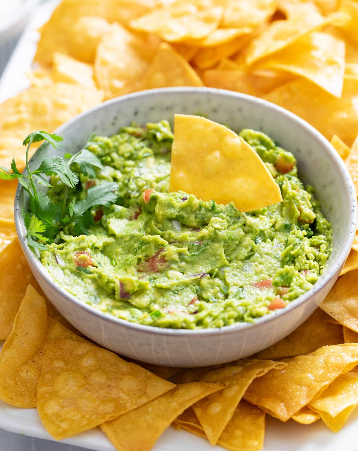 A side view of a tortilla chip in a bowl of Guacamole with tortilla chips around it.