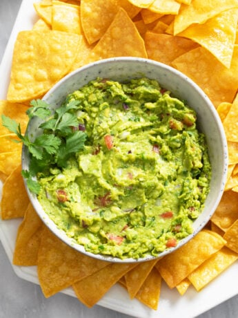 Homemade Guacamole in a bowl with fresh cilantro on the side and tortilla chips around it.