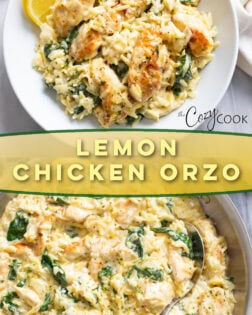 A collage of Lemon Chicken Orzo in a skillet and in a bowl with a label in the middle.