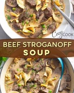 A collage of Beef Stroganoff Soup in a bowl and in a soup pot.