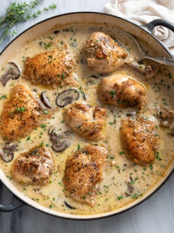 Chicken Fricassee in a skillet with a creamy mushroom sauce and fresh parsley with a spoon on the side.