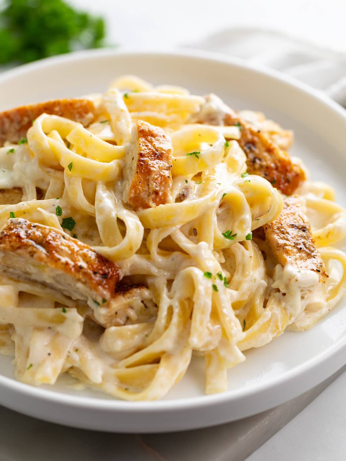 Close-up of creamy Chicken Alfredo Pasta with tender, seasoned chicken breast, ribbons of fettuccine, and fresh parsley.